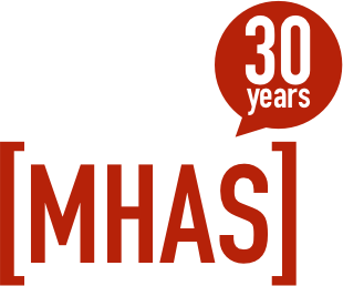 MEIXNER & HANUŠ a.s. propojovací logo